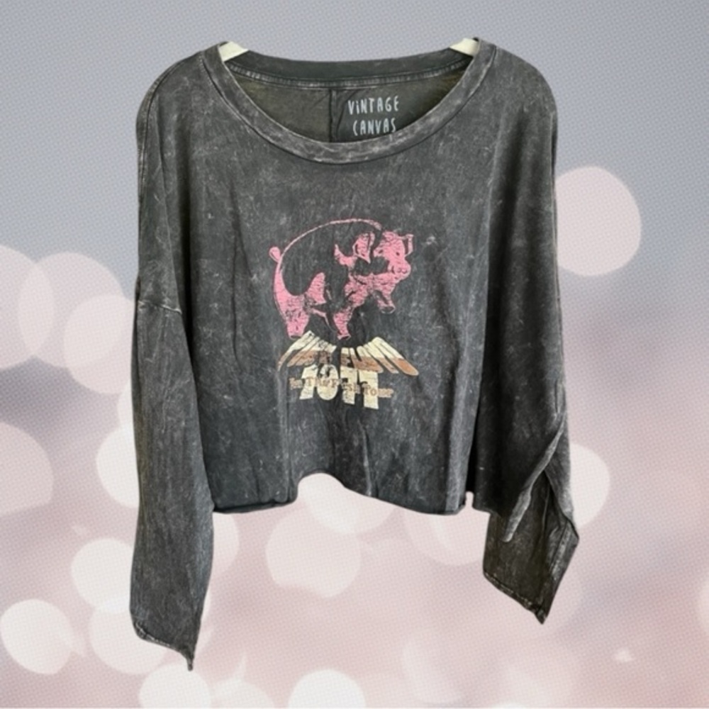 Vintage Canvas Pink Floyd Mineral Wash Cropped Long Sleeve Black Graphic Tee